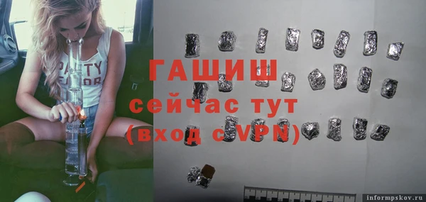 гидра Алексеевка